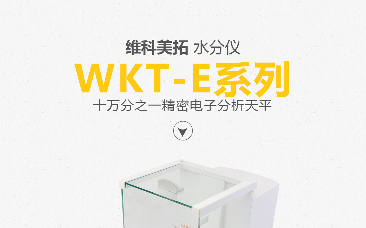 WKT-E系列十万分之一-精密电子分析天平1200_01.jpg